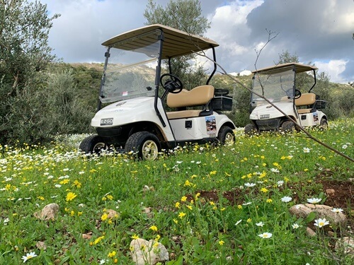 טיולי קלאב קאר נחל כזיב